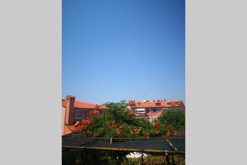 Appartamento Casa di nonna Pina, kuca u blizini Arene Pola Esterno foto